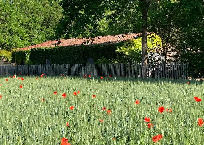 Gîtes de Charme LE BIBENDÔME et LES MOTS BLEUS en pleine forêt