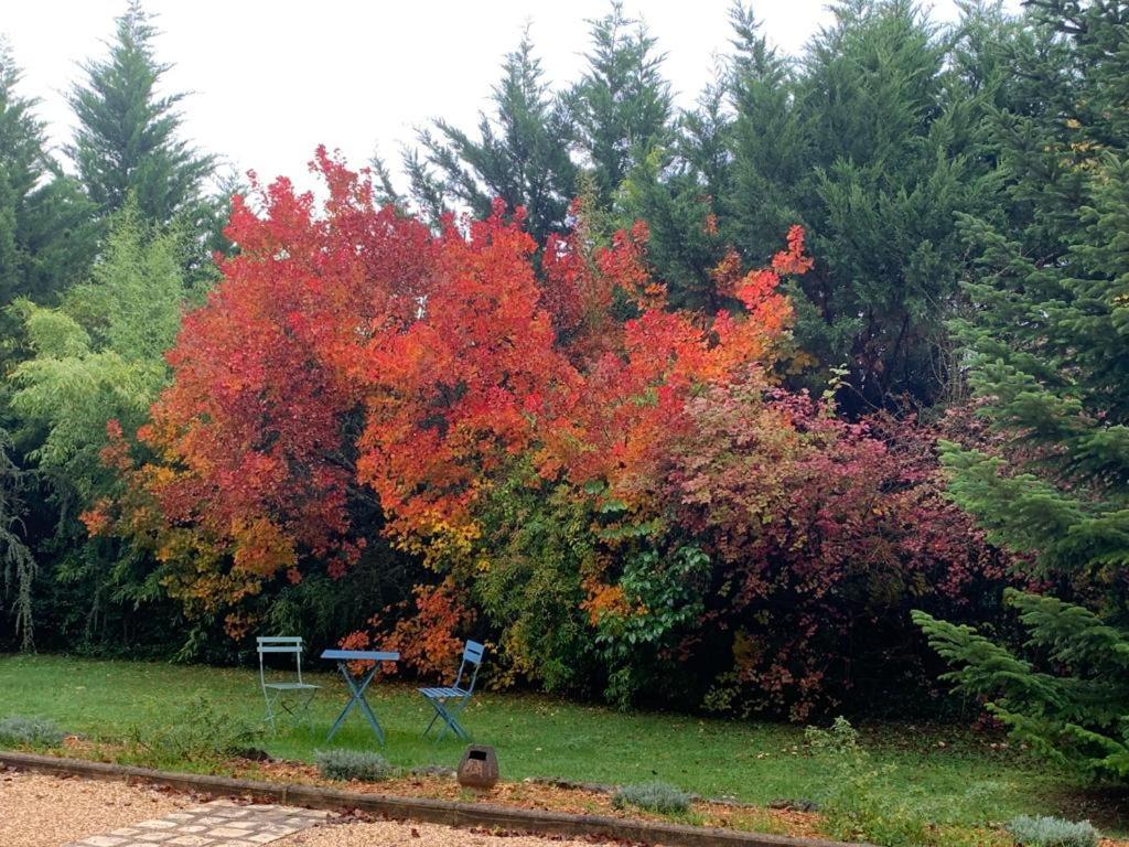 De Charme Le Bibendôme Et Les Mots Bleus En Pleine Forêt Hébergement de vacances