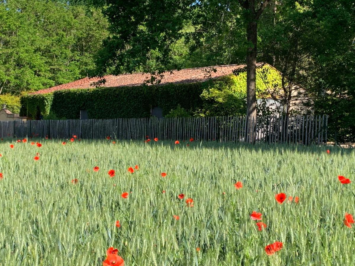 De Charme Le Bibendôme Et Les Mots Bleus En Pleine Forêt Cause-de-Clérans